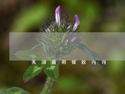 美团逾期催收内容 美团逾期催收内容