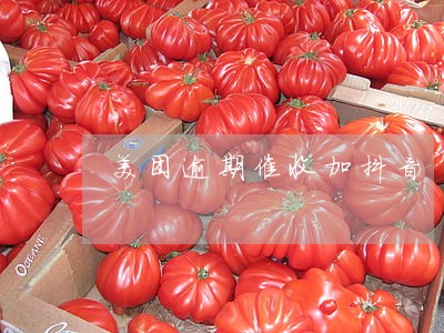 美团逾期催收加抖音 美团逾期催收加抖音