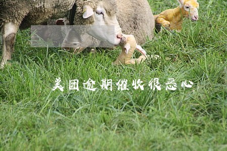美团逾期催收很恶心 美团逾期催收很恶心