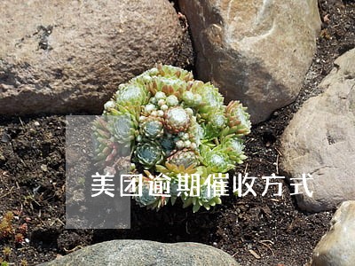 美团逾期催收方式 美团逾期催收方式