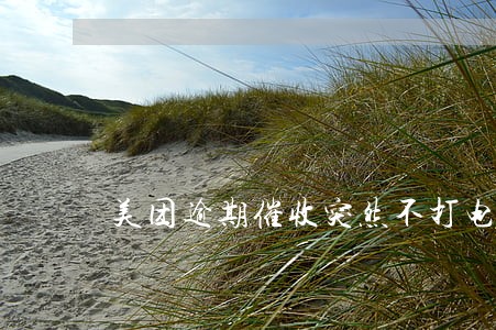 美团逾期催收突然不打电话了 美团逾期催收突然不打电话了