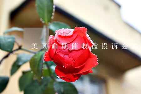 美团逾期催收被投诉会消停吗 美团逾期催收被投诉会消停吗