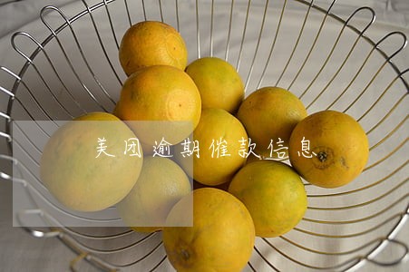 美团逾期催款信息 美团逾期催款信息