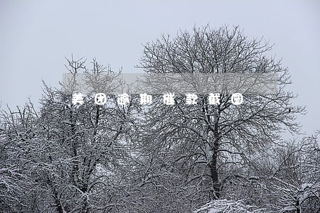 美团逾期催款截图 美团逾期催款截图