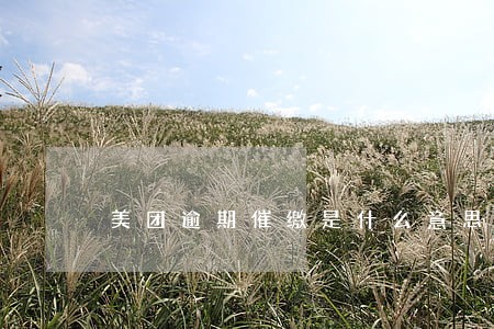 美团逾期催缴是什么意思