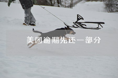 美团逾期先还一部分 美团逾期先还一部分