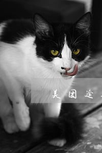 美团逾期免罚息可以吗 美团逾期免罚息可以吗