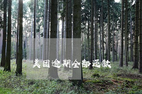 美团逾期全部还款 美团逾期全部还款