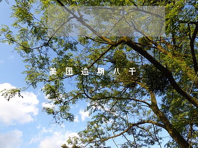 美团逾期八千 美团逾期八千