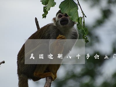 美团逾期八千多会上门吗 美团逾期八千多会上门吗