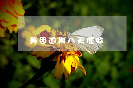 美团逾期八天催收 美团逾期八天催收