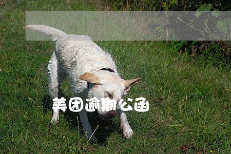 美团逾期公函 美团逾期公函