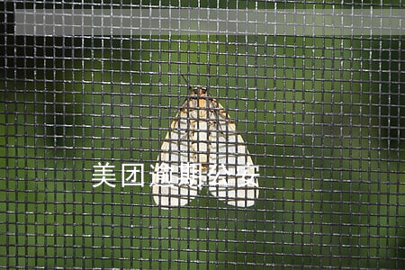 美团逾期公安 美团逾期公安