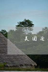 美团逾期六天上征信吗 美团逾期六天上征信吗