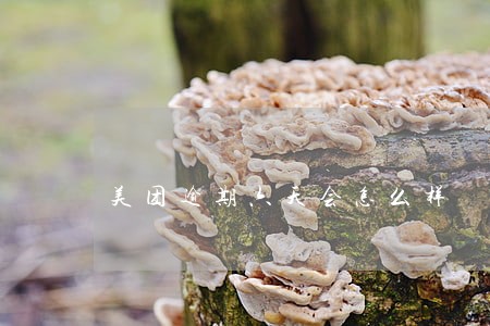 美团逾期六天会怎么样 美团逾期六天会怎么样
