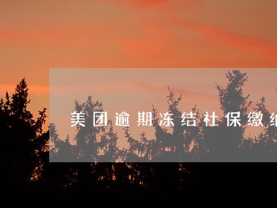美团逾期冻结社保缴纳 美团逾期冻结社保缴纳