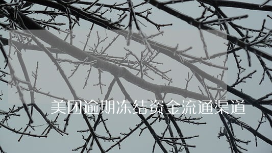 美团逾期冻结资金流通渠道 美团逾期冻结资金流通渠道