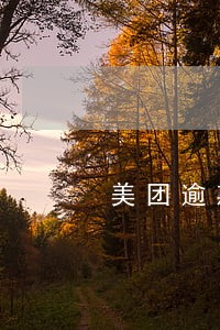 美团逾期几个月上征信 美团逾期几个月上征信