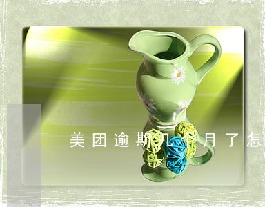 美团逾期几个月了怎么办 美团逾期几个月了怎么办