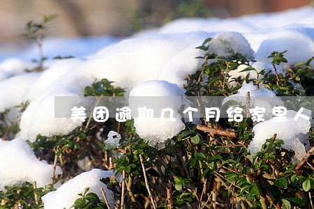 美团逾期几个月给家里人打电话 美团逾期几个月给家里人打电话