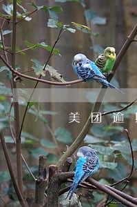 美团逾期几十块要紧吗 美团逾期几十块要紧吗