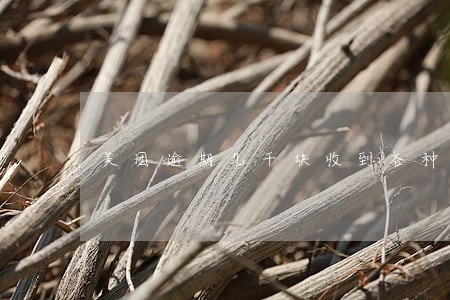 美团逾期几千块收到各种短信 美团逾期几千块收到各种短信