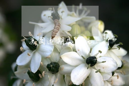 美团逾期几千说上门 美团逾期几千说上门