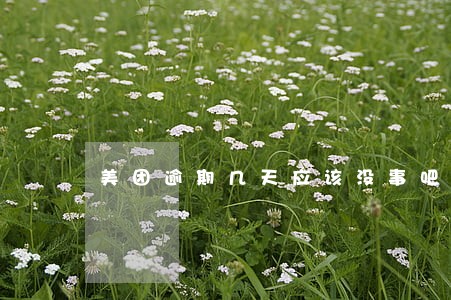 美团逾期几天应该没事吧