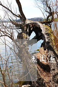 美团逾期几天怎么样 美团逾期几天怎么样