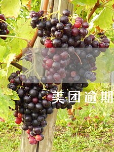 美团逾期几天怎么联系 美团逾期几天怎么联系