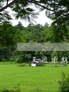 美团逾期几天没事 美团逾期几天没事