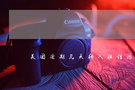 美团逾期几天纳入征信污点 美团逾期几天纳入征信污点