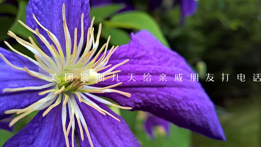 美团逾期几天给亲戚朋友打电话 美团逾期几天给亲戚朋友打电话