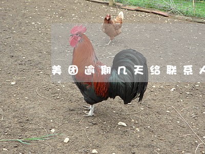 美团逾期几天给联系人打电话 美团逾期几天给联系人打电话