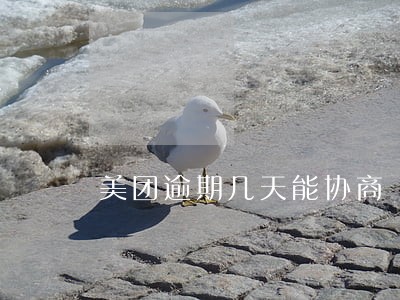 美团逾期几天能协商 美团逾期几天能协商