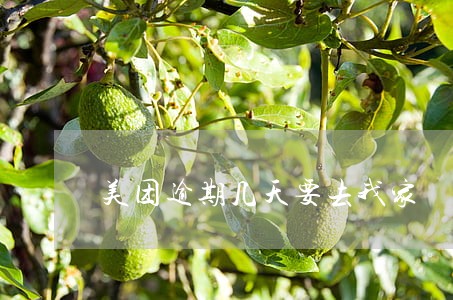 美团逾期几天要去我家 美团逾期几天要去我家