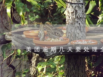 美团逾期几天要处理全款 美团逾期几天要处理全款