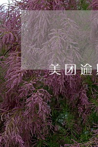 美团逾期几天让全款还上是真的吗 美团逾期几天让全款还上是真的吗
