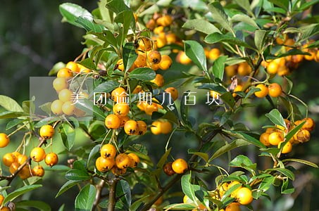 美团逾期几百块 美团逾期几百块