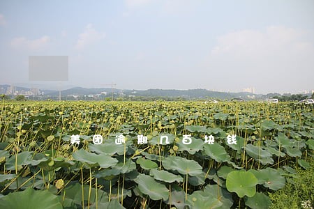美团逾期几百块钱 美团逾期几百块钱
