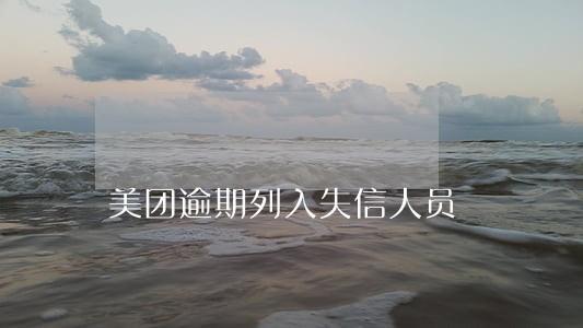 美团逾期列入失信人员 美团逾期列入失信人员