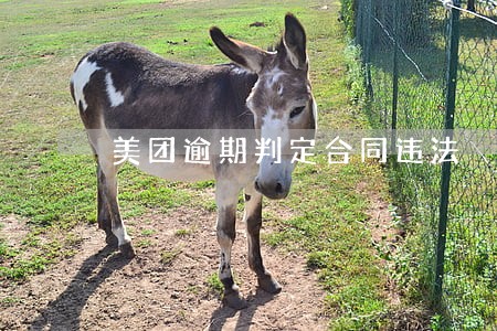 美团逾期判定合同违法 美团逾期判定合同违法