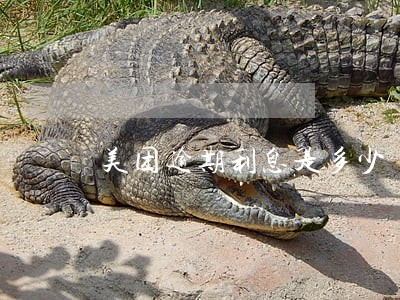 美团逾期利息是多少 美团逾期利息是多少