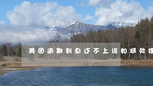 美团逾期利息还不上该如何处理 美团逾期利息还不上该如何处理