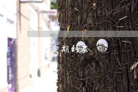 美团逾期到家 美团逾期到家