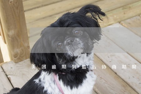 美团逾期到最后协商期限 美团逾期到最后协商期限
