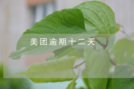 美团逾期十二天 美团逾期十二天