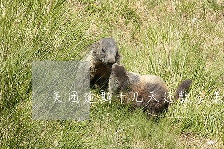 美团逾期十几天还款会怎么样 美团逾期十几天还款会怎么样