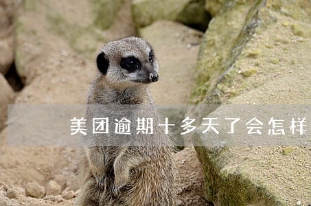 美团逾期十多天了会怎样 美团逾期十多天了会怎样