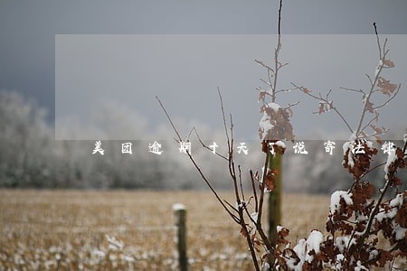 美团逾期十天了说寄法律信件 美团逾期十天了说寄法律信件
